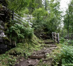 wegprojekt_eppacher-_und_tristenalm_c_albert_willeit.jpg