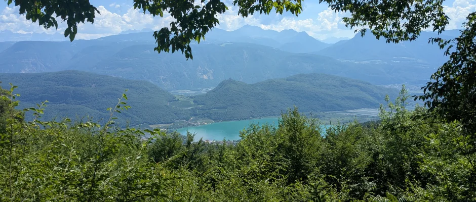 blick_vom_altenburger_wald_auf_den_kalterer_see_unser_wald.jpg