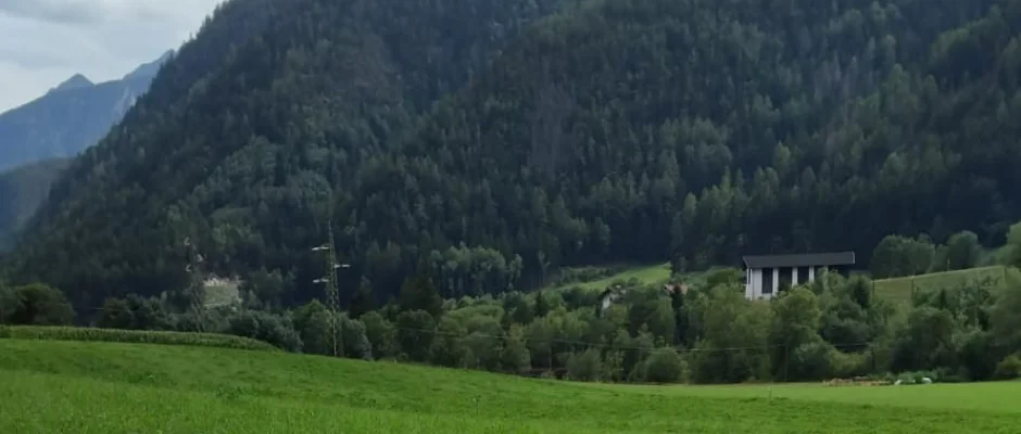 landwirtschaftliches_gruen_mauls_bearbeitet_michael_ralser.jpeg