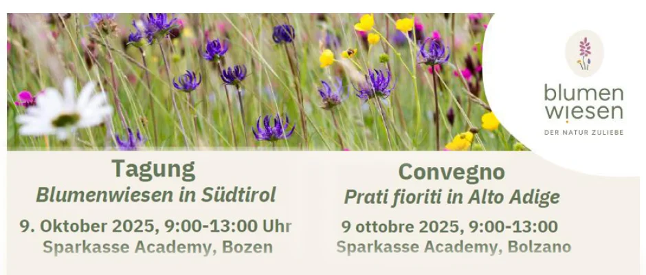 tagung_blumenwiesen_prati.jpg