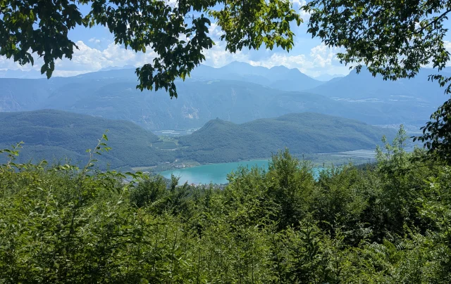 blick_vom_altenburger_wald_auf_den_kalterer_see_unser_wald.jpg