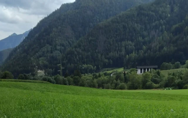 landwirtschaftliches_gruen_mauls_bearbeitet_michael_ralser.jpeg