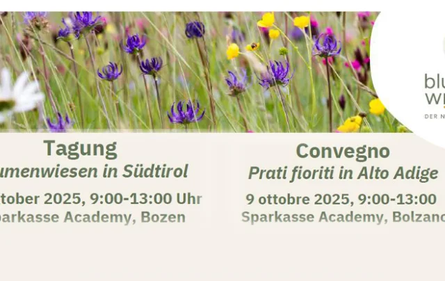 tagung_blumenwiesen_prati.jpg