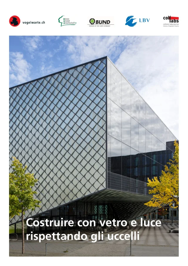 costruire_rispettando_uccelli-vetro_2022.jpg
