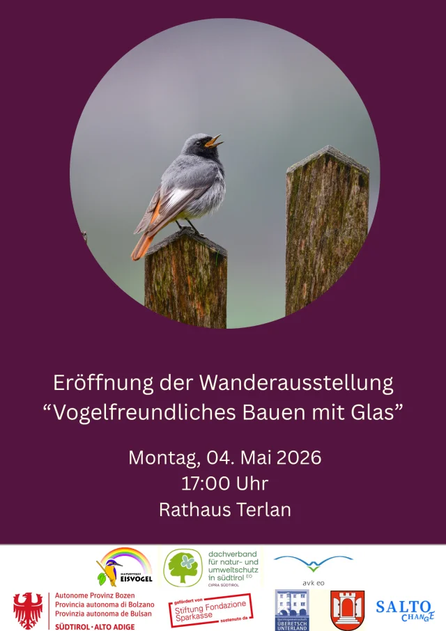 einladungvogelschutzausstellungterlande.jpg